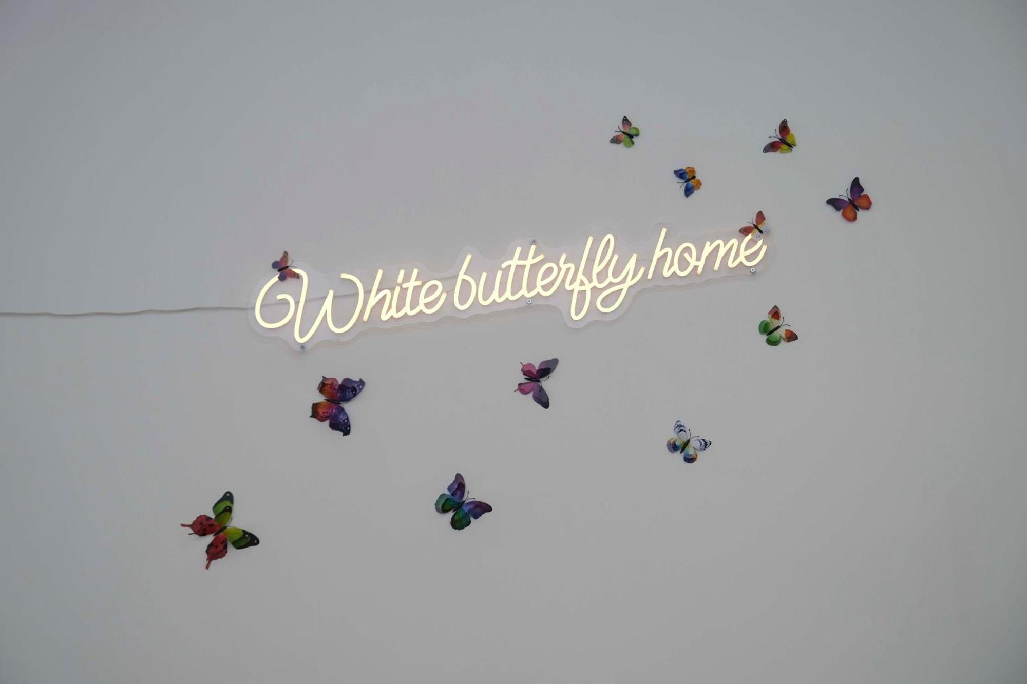 White Butterfly Home Nápoly Kültér fotó